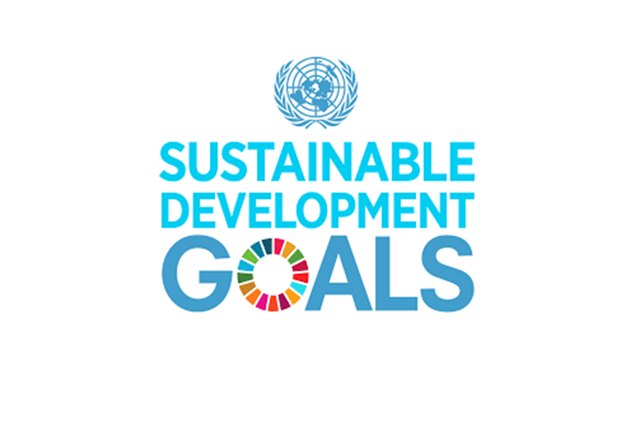 Sustainable Development Goals Launch